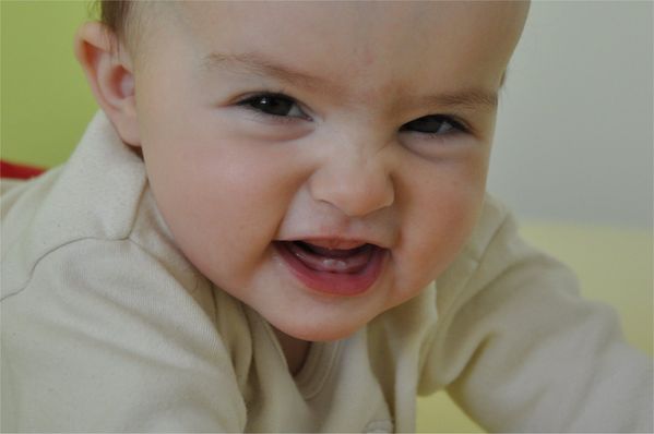 Pulsa para ver la imagen a tamaño completo