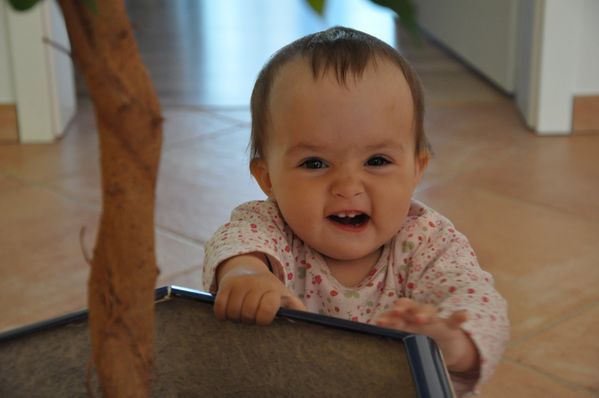 Pulsa para ver la imagen a tamaño completo