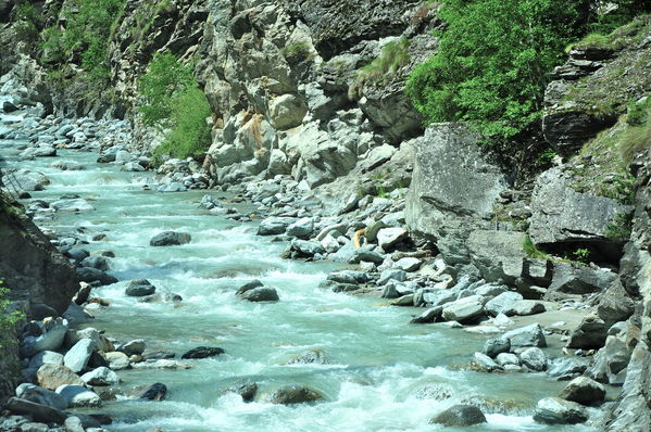 Pulsa para ver la imagen a tamaño completo