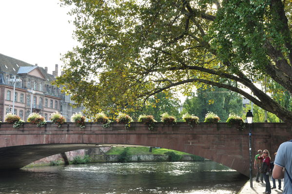 Pulsa para ver la imagen a tamaño completo