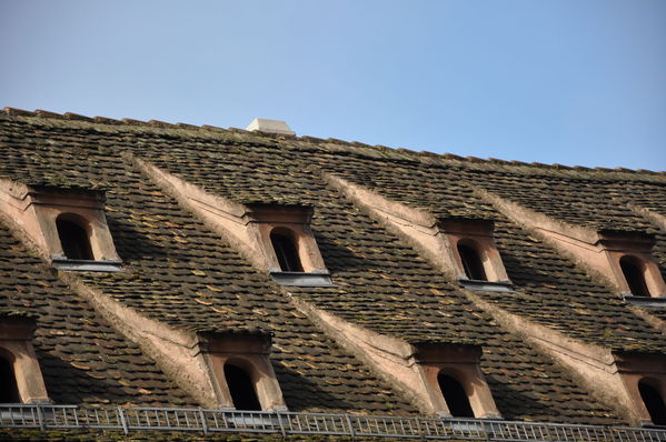 Pulsa para ver la imagen a tamaño completo