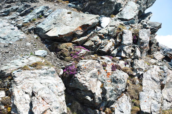 Pulsa para ver la imagen a tamaño completo