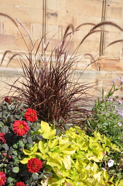 Pulsa para ver la imagen a tamaño completo