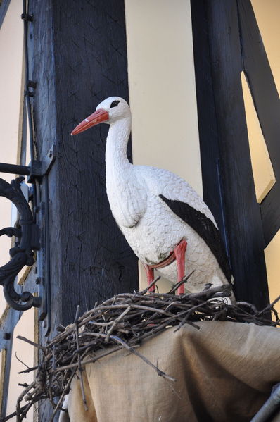 Pulsa para ver la imagen a tamaño completo