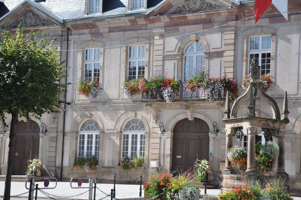 Pulsa para ver la imagen a tamaño completo