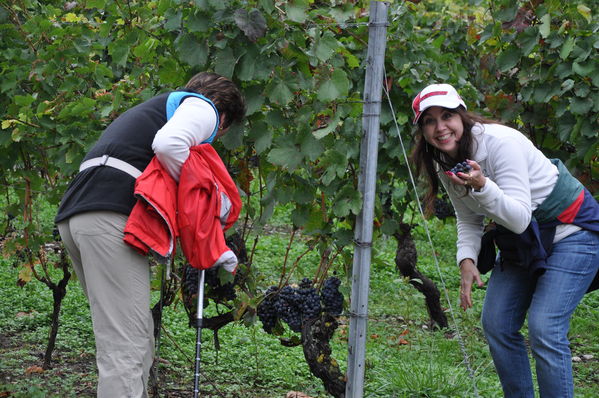 Pulsa para ver la imagen a tamaño completo