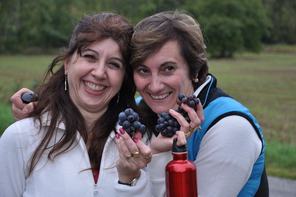 Pulsa para ver la imagen a tamaño completo