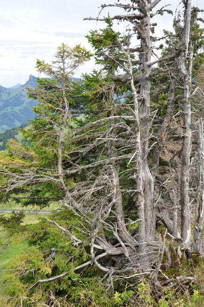 Pulsa para ver la imagen a tamaño completo