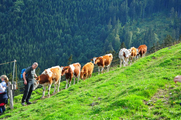 Pulsa para ver la imagen a tamaño completo