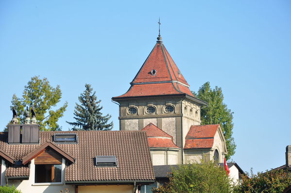 Pulsa para ver la imagen a tamaño completo