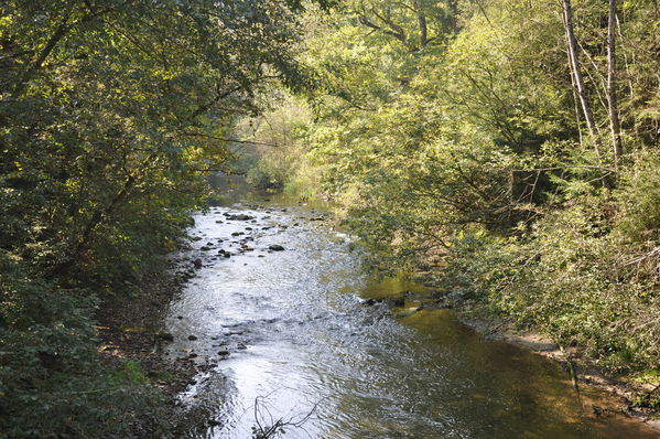 Pulsa para ver la imagen a tamaño completo