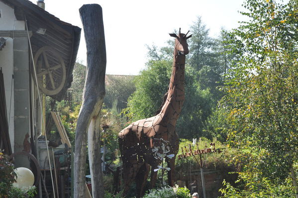 Pulsa para ver la imagen a tamaño completo