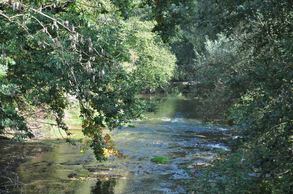Pulsa para ver la imagen a tamaño completo