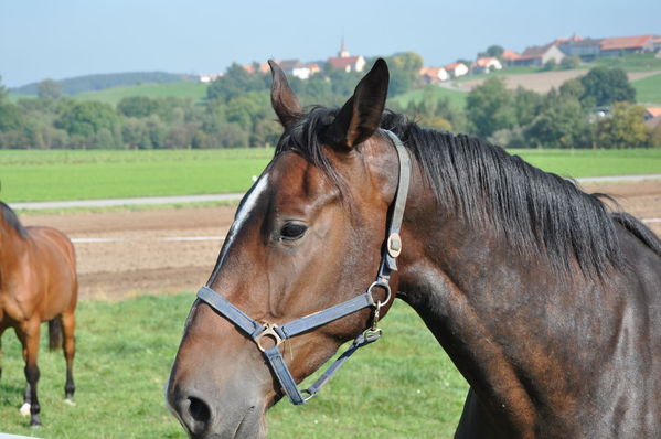 Pulsa para ver la imagen a tamaño completo