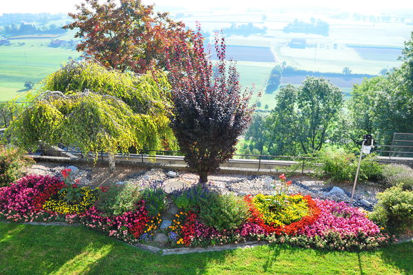 Pulsa para ver la imagen a tamaño completo