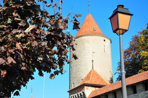 Pulsa para ver la imagen a tamaño completo