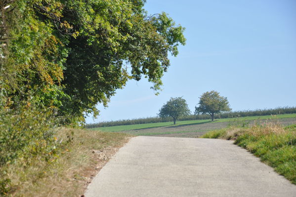 Pulsa para ver la imagen a tamaño completo