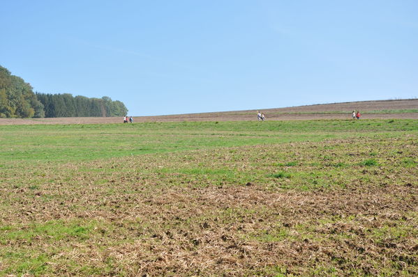 Pulsa para ver la imagen a tamaño completo