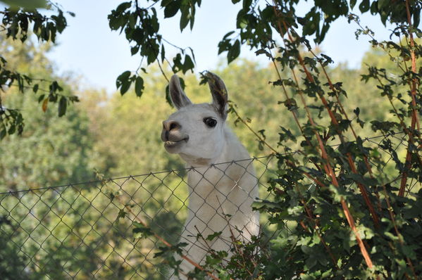 Pulsa para ver la imagen a tamaño completo