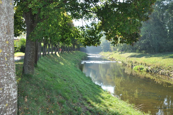 Pulsa para ver la imagen a tamaño completo