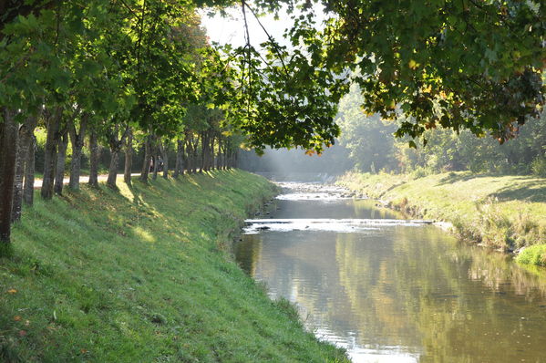 Pulsa para ver la imagen a tamaño completo