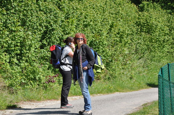 Pulsa para ver la imagen a tamaño completo