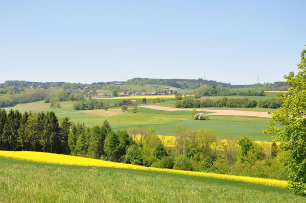 Pulsa para ver la imagen a tamaño completo