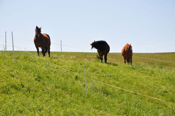 Pulsa para ver la imagen a tamaño completo