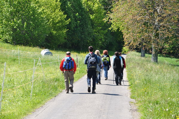 Pulsa para ver la imagen a tamaño completo
