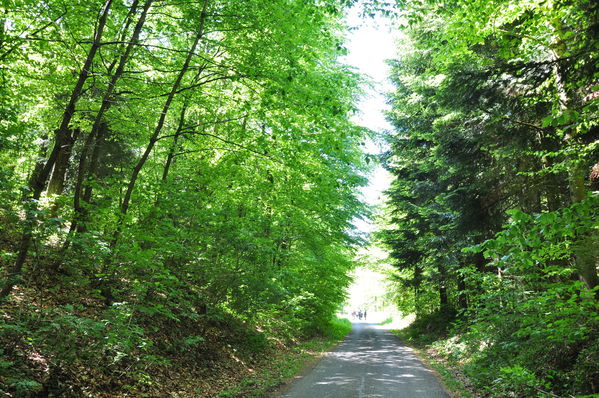 Pulsa para ver la imagen a tamaño completo