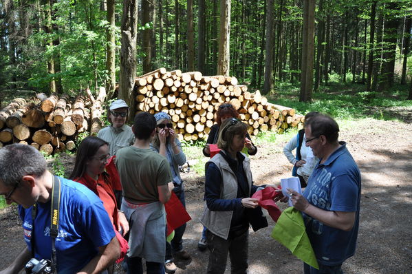 Pulsa para ver la imagen a tamaño completo
