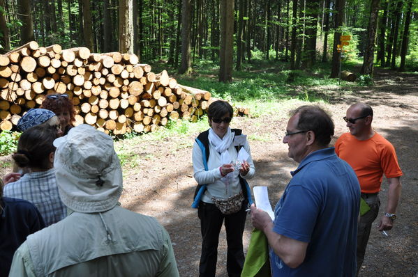 Pulsa para ver la imagen a tamaño completo