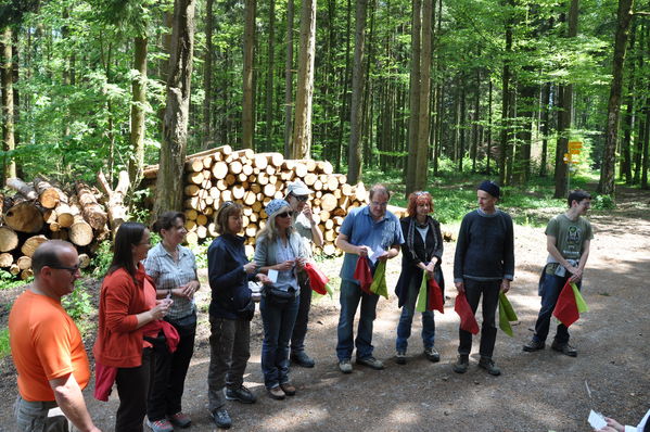 Pulsa para ver la imagen a tamaño completo