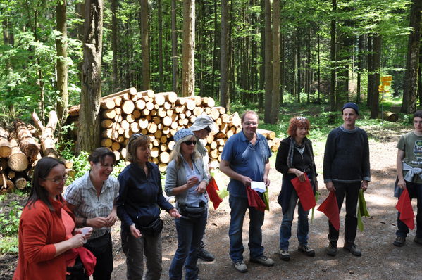 Pulsa para ver la imagen a tamaño completo