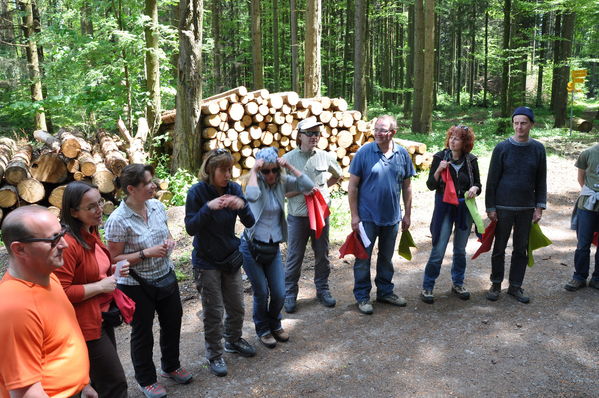 Pulsa para ver la imagen a tamaño completo