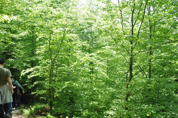 Pulsa para ver la imagen a tamaño completo