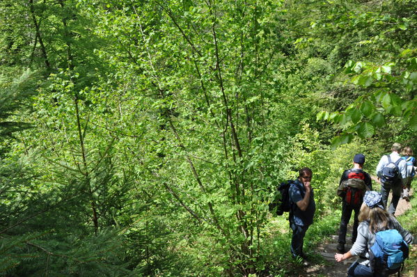 Pulsa para ver la imagen a tamaño completo