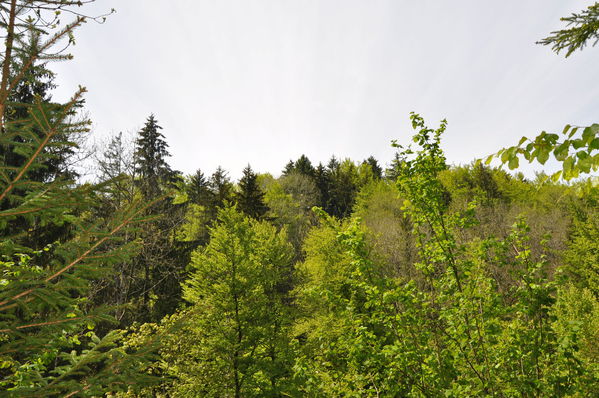 Pulsa para ver la imagen a tamaño completo