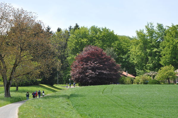 Pulsa para ver la imagen a tamaño completo
