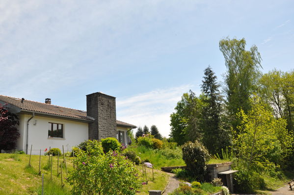 Pulsa para ver la imagen a tamaño completo