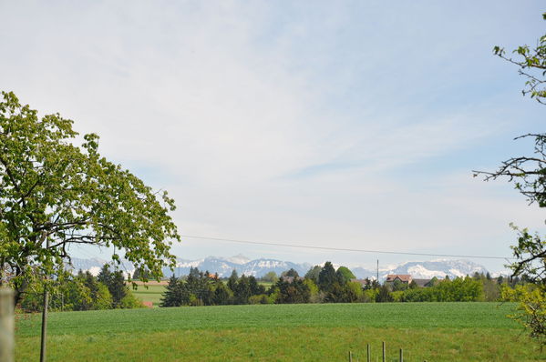 Pulsa para ver la imagen a tamaño completo