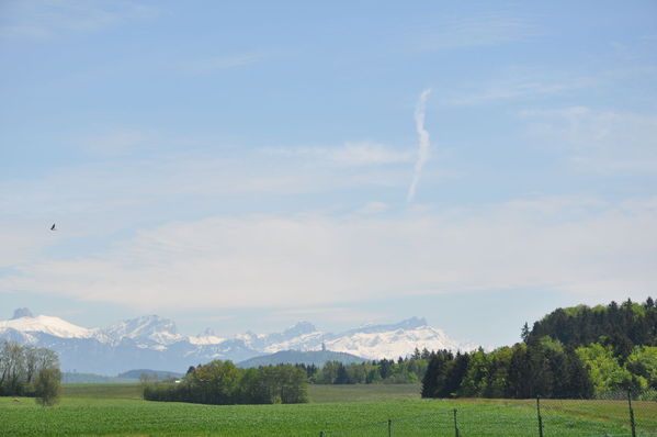 Pulsa para ver la imagen a tamaño completo