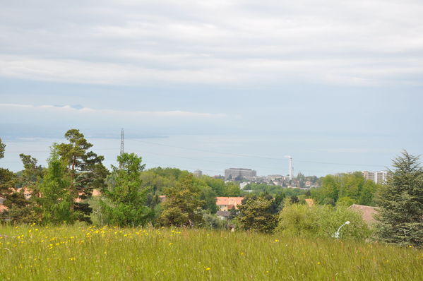 Pulsa para ver la imagen a tamaño completo