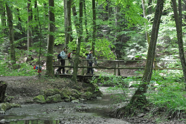Pulsa para ver la imagen a tamaño completo