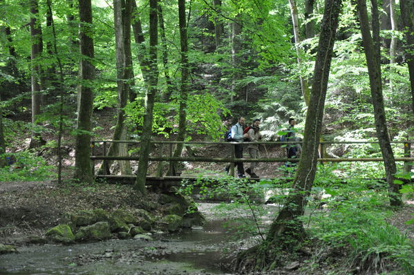 Pulsa para ver la imagen a tamaño completo