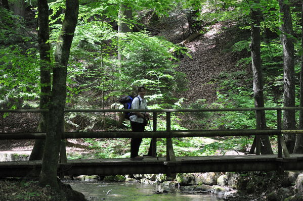 Pulsa para ver la imagen a tamaño completo