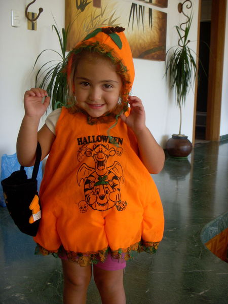 Pulsa para ver la imagen a tamaño completo