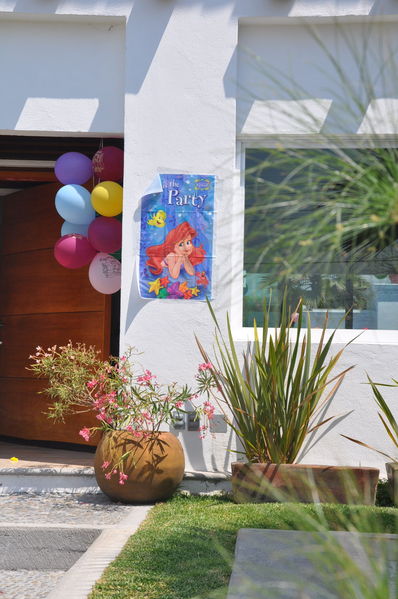 Pulsa para ver la imagen a tamaño completo